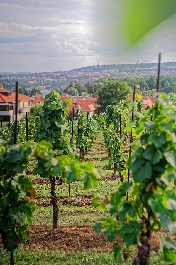 Apartmány Vinice Salabka Praha Česká republika